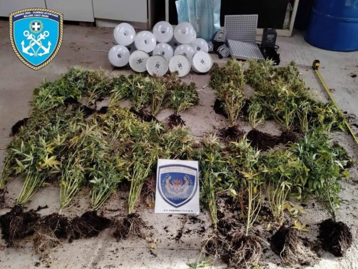 Συνελήφθησαν στην Καλλιθέα δύο Αιγύπτιοι που καλλιεργούσαν κάνναβη σε διαμέρισμα (vid)