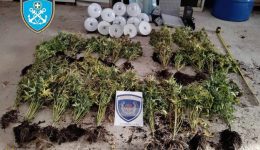 sinelifthisan-stin-kallithea-dio-egiptii