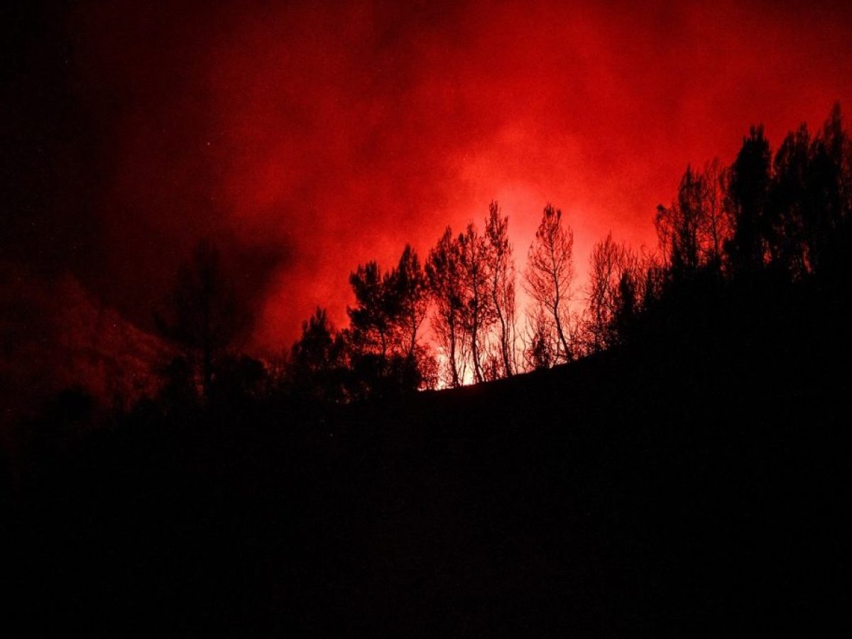 Σοκ: Νυχτερινή μάχη με τις φλόγες σε κοντινό βουνό – Φωτιά σε παρθένο δάσος!
