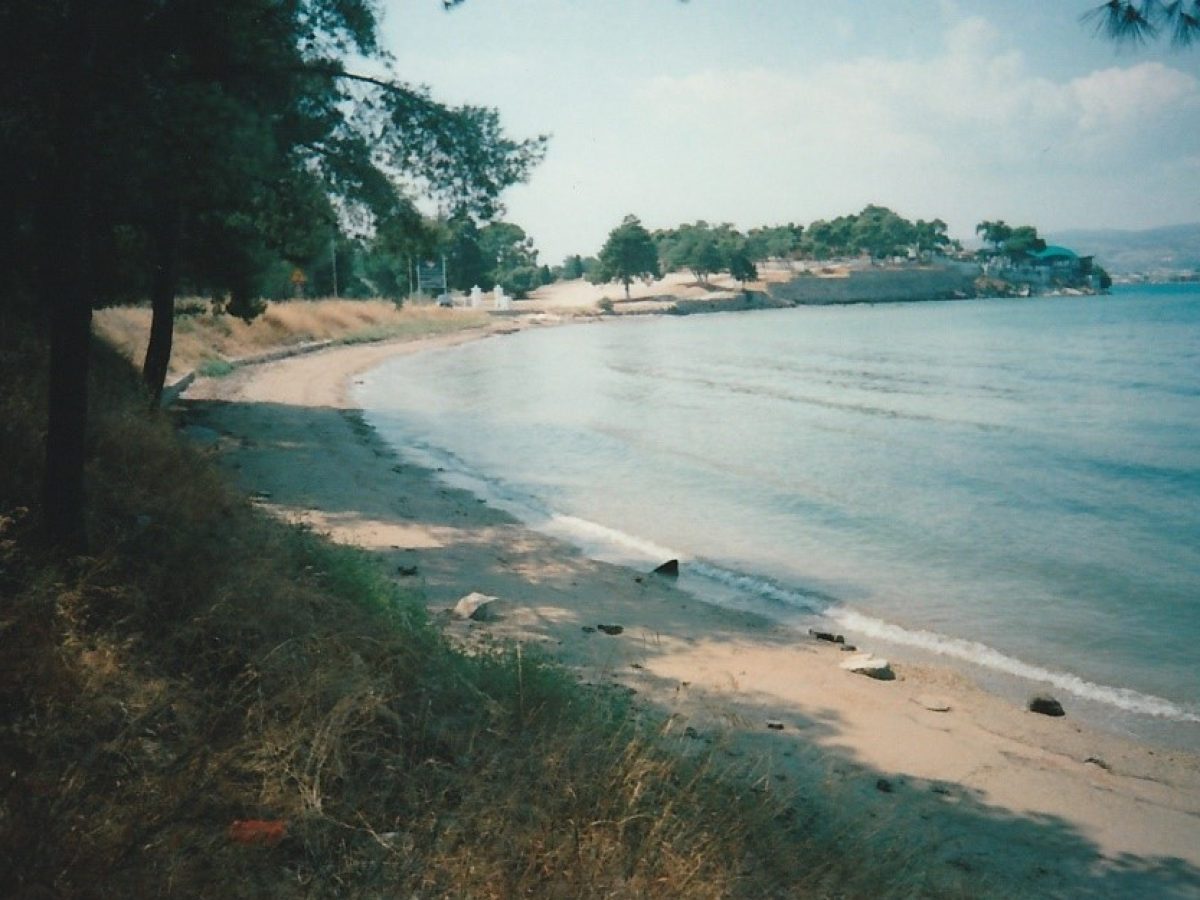 Σορός άνδρα βρέθηκε δίπλα στο λιμάνι του Βόλου -ήταν νεκρός εδώ και 15 ημέρες