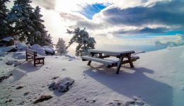 sotiris-kouris-prosochi-ston-dromo