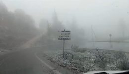 sta-lefka-i-kastania-orinis