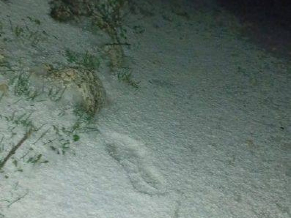 Στα λευκά η κορυφή του Παντοκράτορα