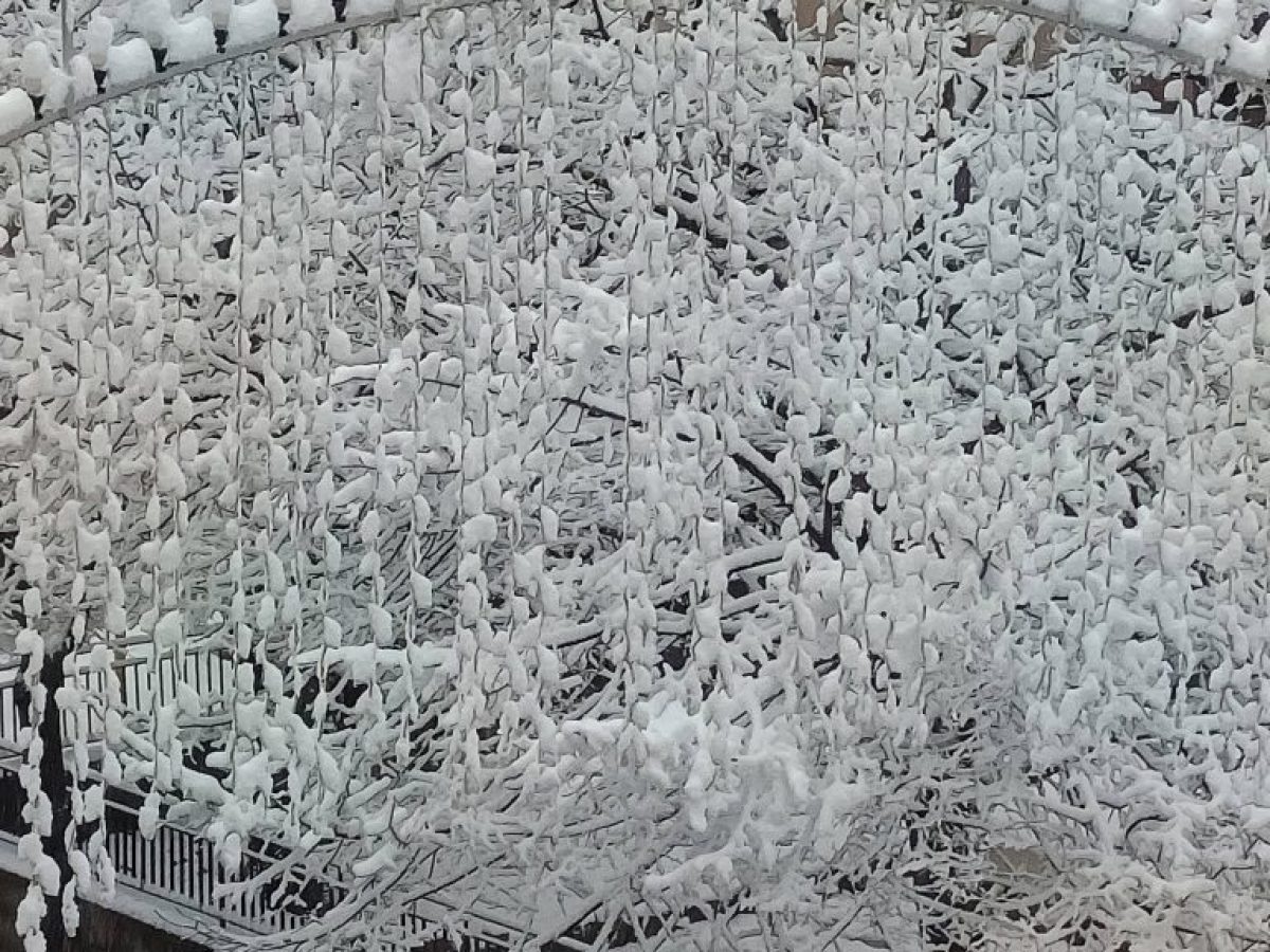 Στα λευκά η πόλη των Γρεβενών (φωτογραφίες)