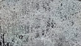 sta-lefka-i-poli-ton