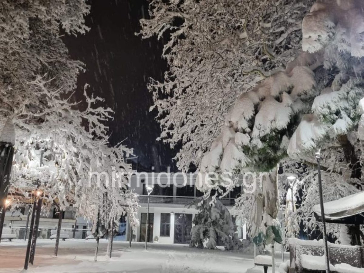 Στα λευκά ο Δομοκός ,δύσκολη η κυκλοφορία λόγω της έντονης χιονόπτωσης