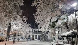 sta-lefka-o-domokos-diskoli