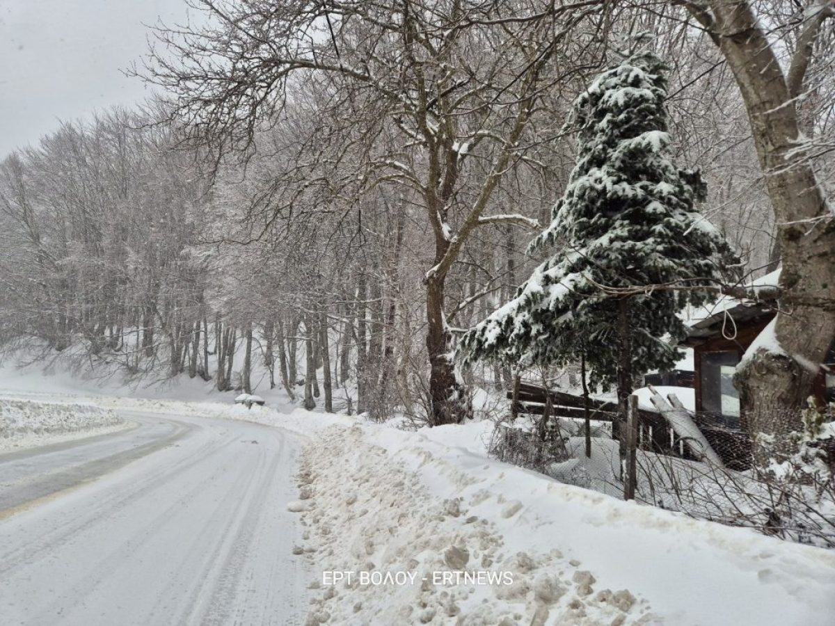 Στα λευκά τα Χάνια Πηλίου – Αυξημένη κίνηση επισκεπτών