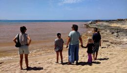 stavros-Αkrotiriou-neos-kiklos-antidraseon