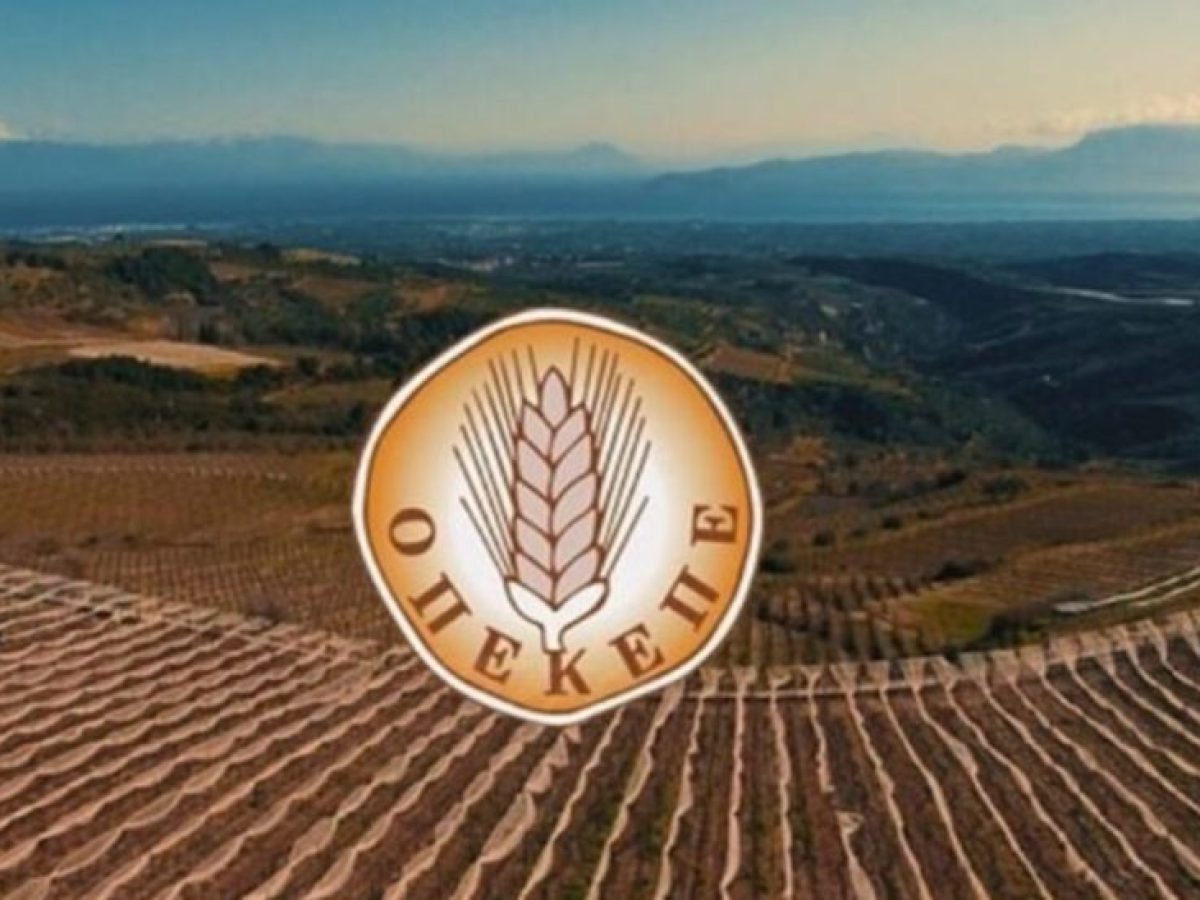 Στην τελική ευθεία οι έρευνες για τον ΟΠΕΚΕΠΕ: Στο στόχαστρο 3 εγκληματικές οργανώσεις σε Κρήτη, Κοζάνη και Τρίκαλα