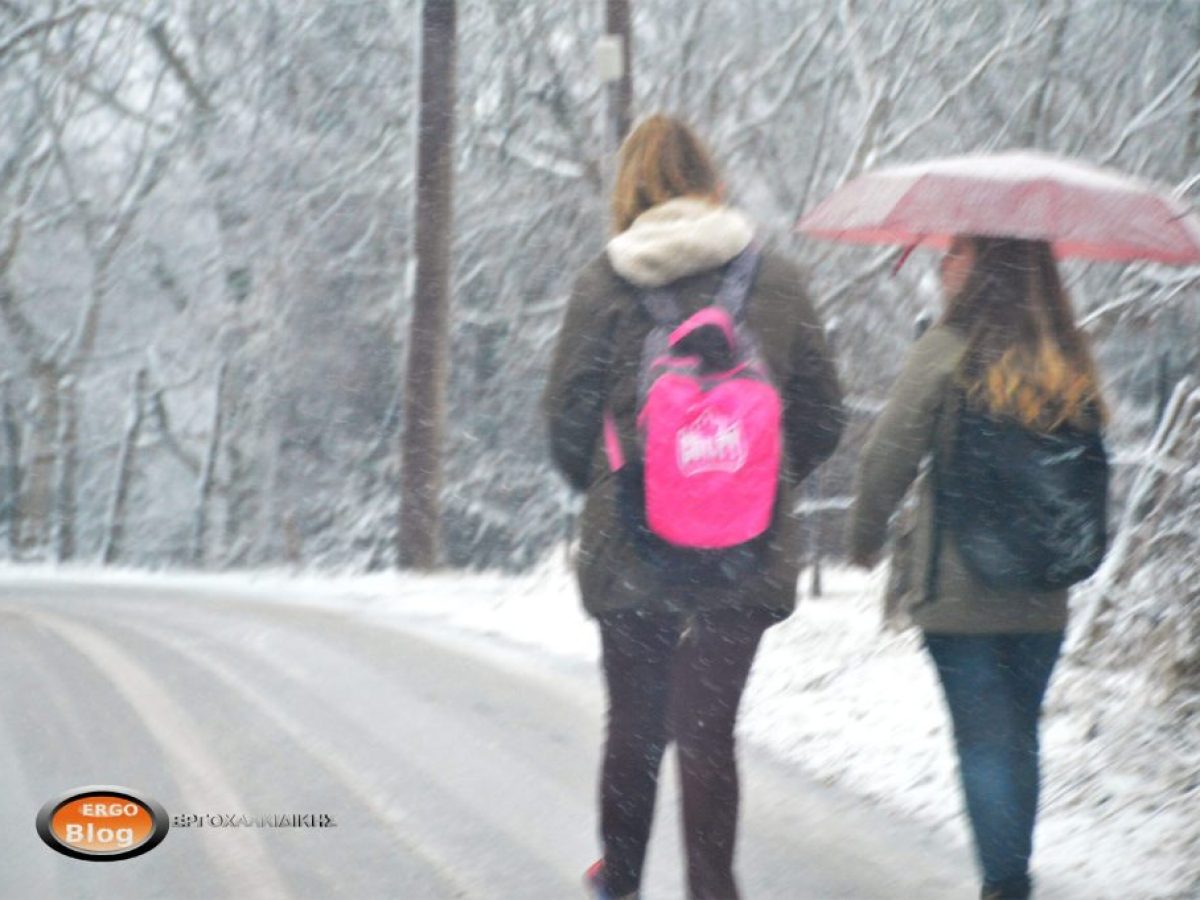 Στις 9:00 π.μ. η έναρξη λειτουργίας των σχολείων τη Δευτέρα 12 Ιανουαρίου στον Δήμο Πολυγύρου