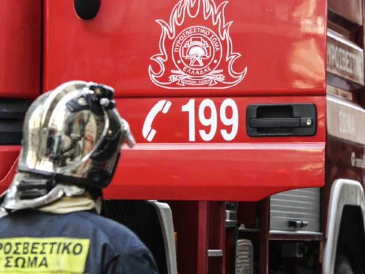 Στις φλόγες τυλίχθηκαν 2 οχήματα στη Λιβαδειά