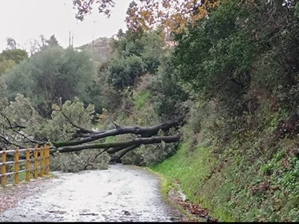 Στο έλεος των ισχυρών ανέμων βρίσκεται το Αντίρριο-Στην Άνω Χώρα Ναυπακτίας  δύσκολες καιρικές συνθήκες