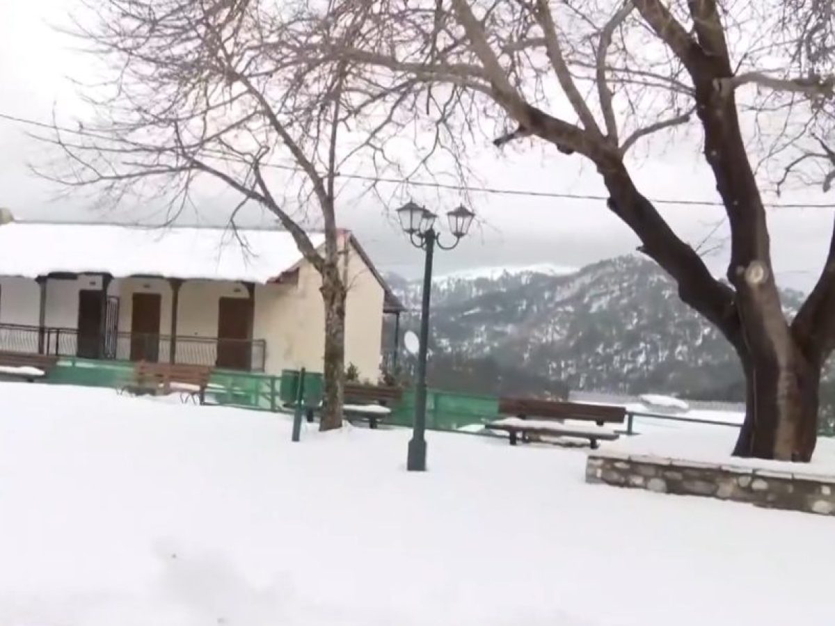 Τα άλογα, οι λύκοι και οι πέντε κάτοικοι του χειμώνα στο Περιβόλι Γρεβενών