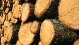 ta-kafsoxila-ekapsan-epidoxous…-epidromis-3