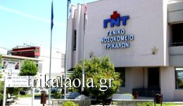 talepori-i-gripi-tipou-&Alpha;