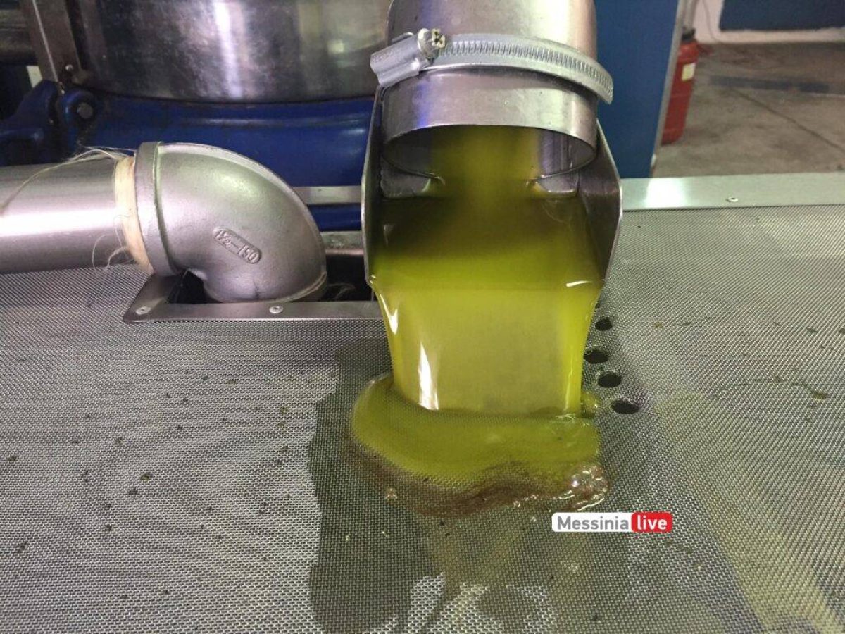 Τατούλης: “Έγκλημα εναντίον των ελαιοπαραγωγών ο διπλασιασμός των εξαγωγών ελαιολάδου χωρίς δασμούς από την Τυνησία στην Ε.Ε.”