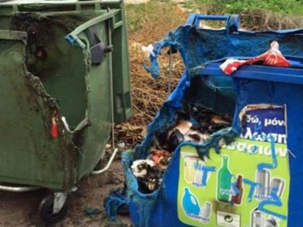 Θανάσης Μουζάκης: Σύσταση προς τους πολίτες