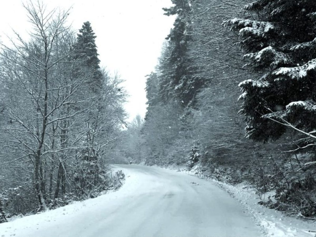 Θεαματικό πέρασμα σε έναν δρόμο που δοκιμάζεται από τη φύση – Εικόνες από τον ορεινό όγκο των Τρικάλων, 9 μέρες στο 2026