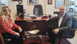 theodoros-karaoglou-i-politiki-prepi