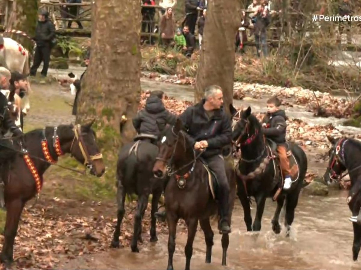 Θεοφάνια στην Ελλάδα: Τα ξεχωριστά έθιμα που ζωντανεύουν κάθε τόπο