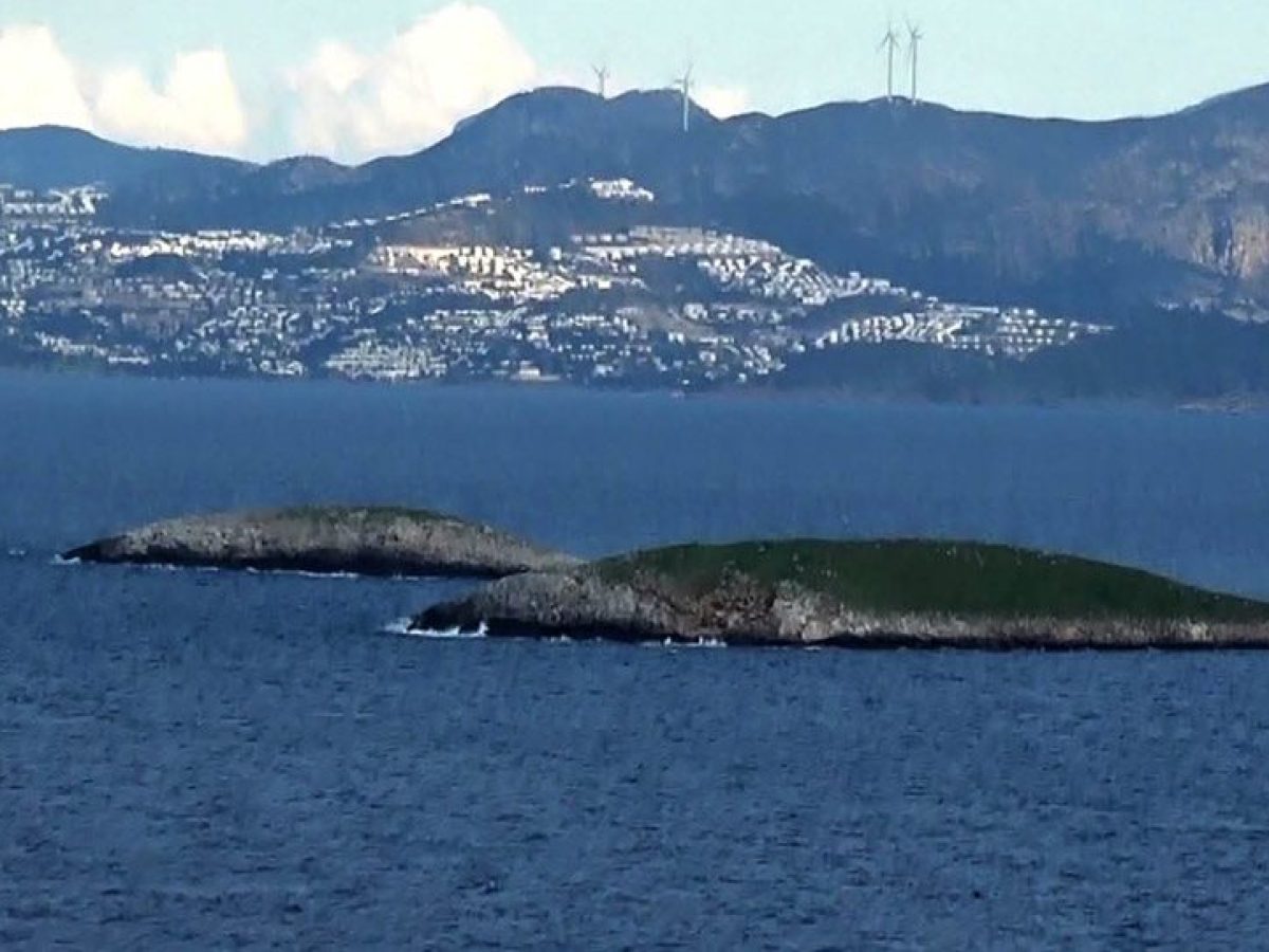 Θεοφάνης Μαλκίδης: Τα Ίμια,  το Αιγαίον του Ελληνισμού