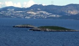 theofanis-malkidis-ta-imia