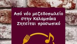 thesis-ergasias-se-neo-mezedopolio