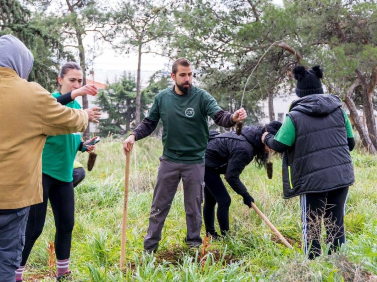 Θεσσαλονίκη: 1000 νέα δέντρα φυτεύτηκαν στην Τριανδρία (ΦΩΤΟ)