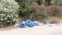 thessaloniki-dikografia-se-varos-42chronou