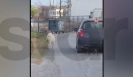 thessaloniki-katadikastike-o-67chronos-pou