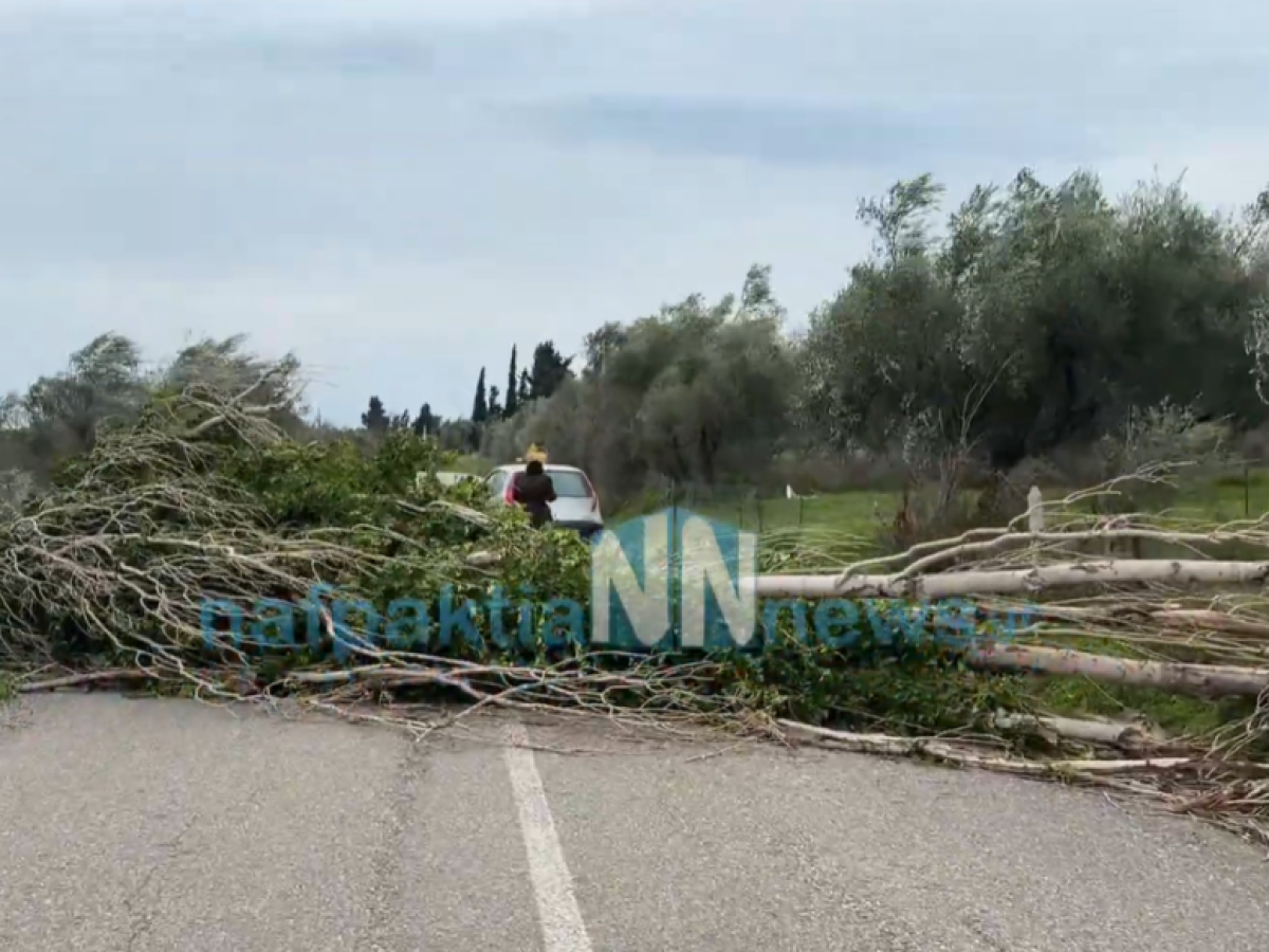 Θυελλώδεις άνεμοι “χτυπούν” τη Δυτική Ελλάδα – ΣΥΝΕΧΗΣ ΕΝΗΜΕΡΩΣΗ