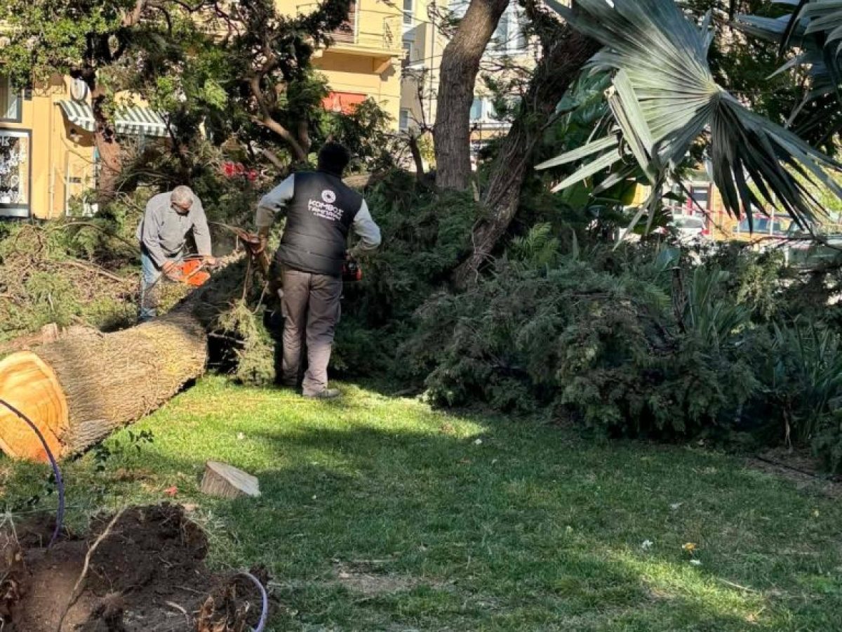 Θυελλώδεις άνεμοι προκάλεσαν μικροζημιές στο Ναύπλιο