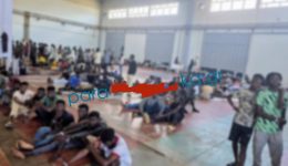 thimizi…-kalokeri-xana-to-ekthesiako