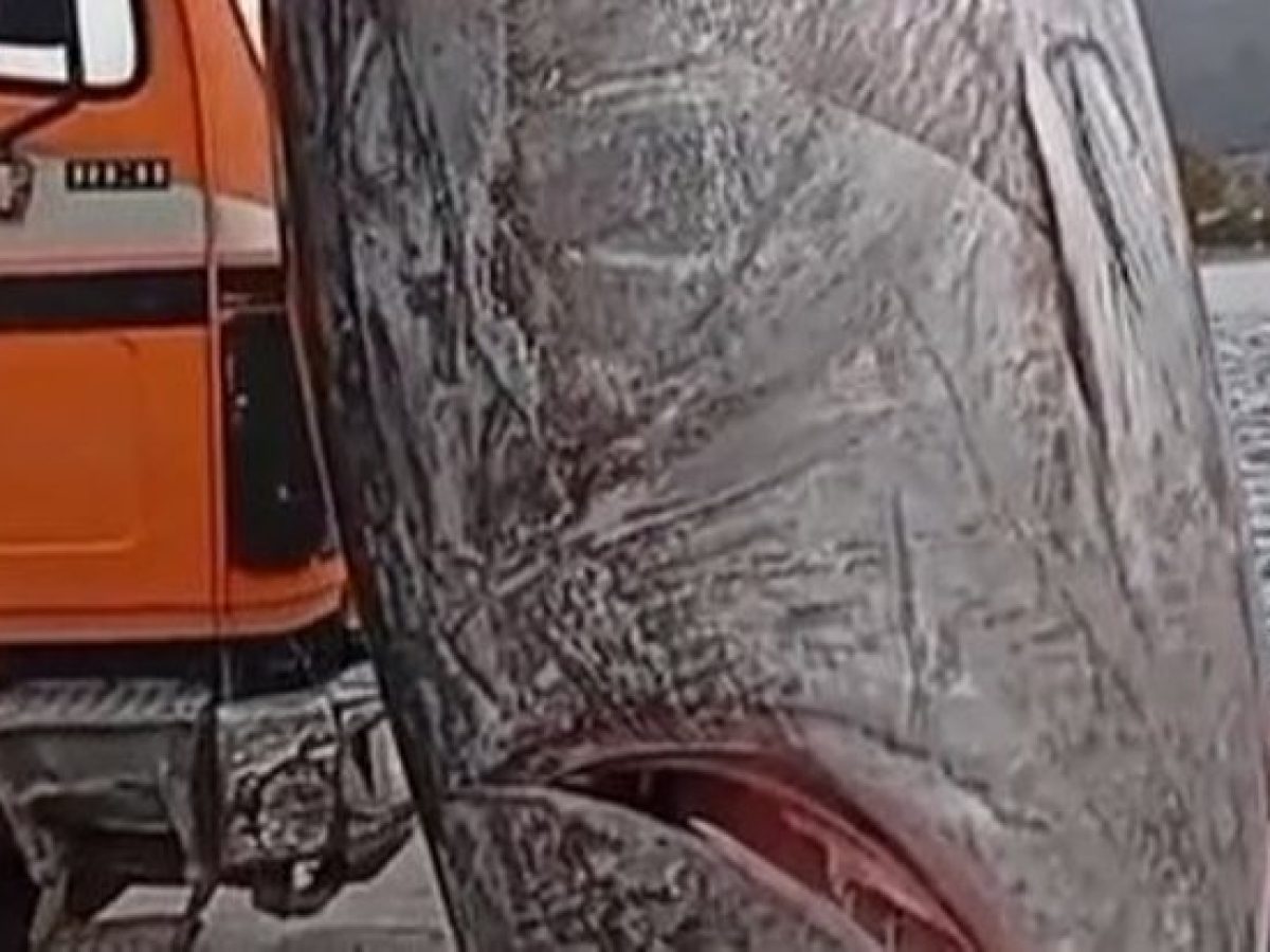 Θηριώδης τόνος περίπου 350 κιλών στα νερά του Αστακού – Έγινε viral στο TikTok