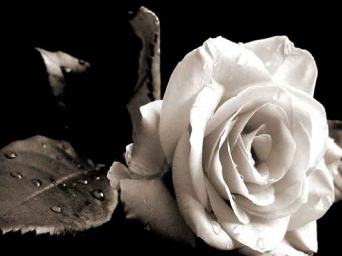 Θρηνεί το θάνατο 51χρονης μητέρας το Ανοιξιάτικο Αμφιλοχίας