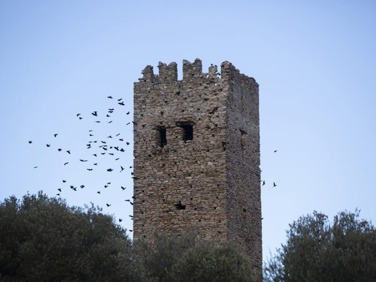 Το άγνωστο μεσαιωνικό «διαμάντι» της Εύβοιας: Ο πέτρινος γίγαντας των 23 μέτρων που αψηφά τον χρόνο