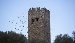 to-agnosto-meseoniko-diamanti-tis