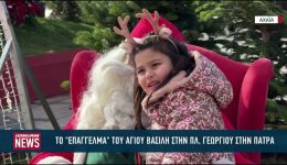 to-epangelma-tou-&Alpha;g.-vasili