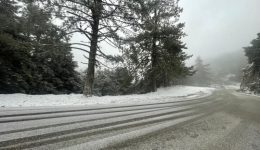 to-estrose-sta-orina-tis