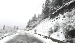 to-estrose-sto-lampiri-&Alpha;griniou