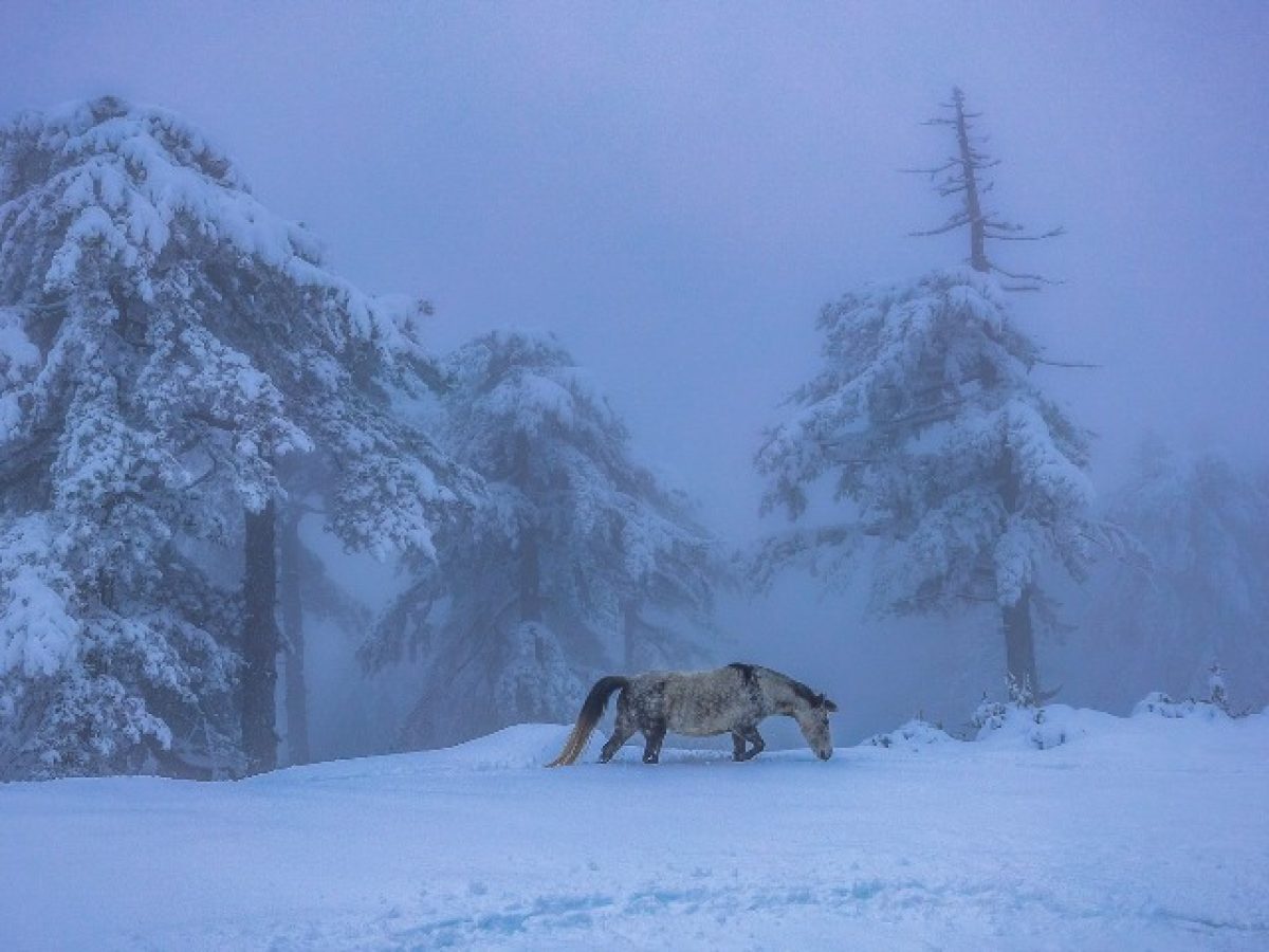 Το μεγαλείο της φύσης