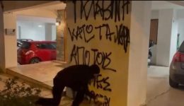 to-panepistimio-aniki-stin-&Alpha;ristera