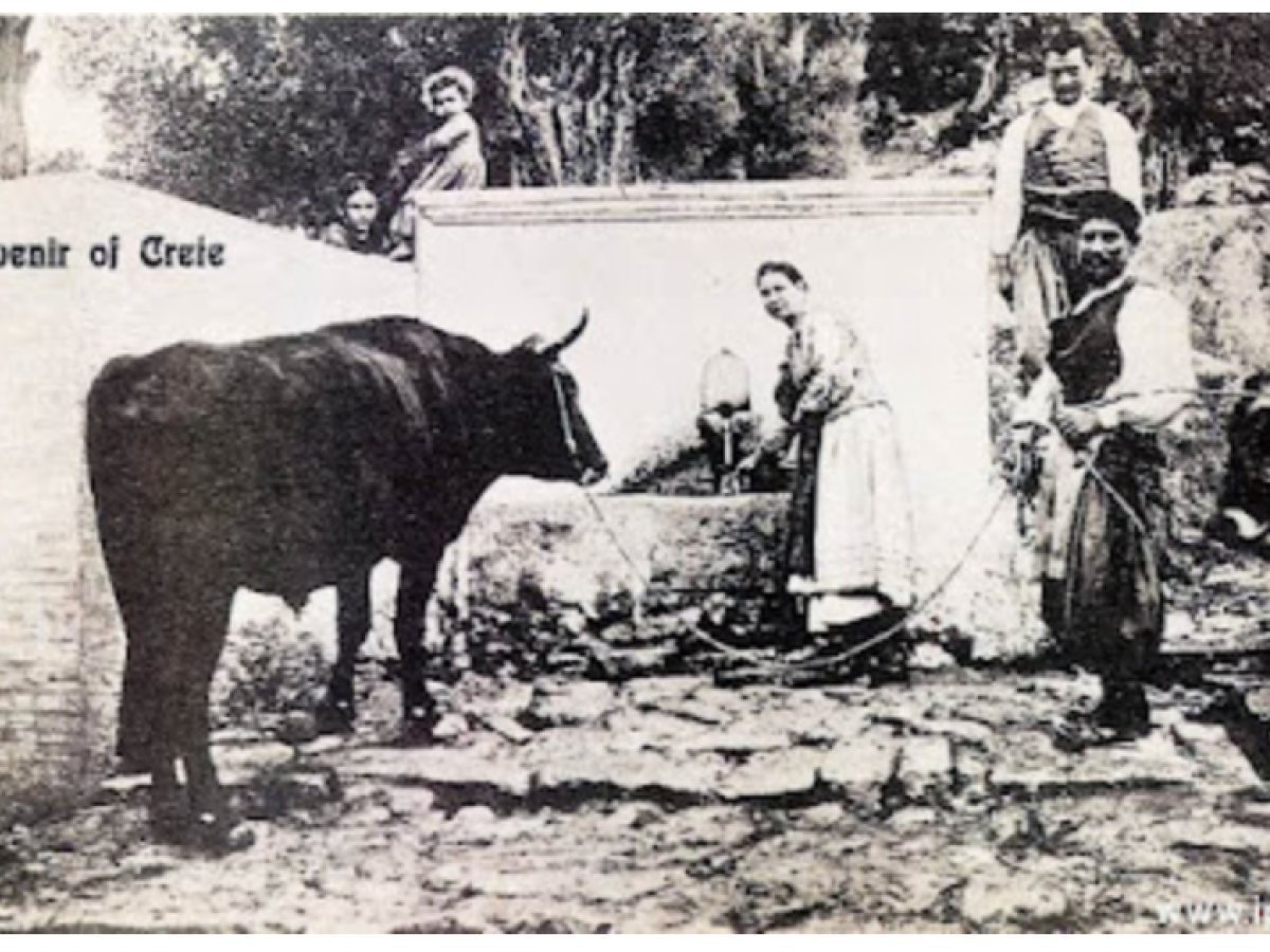 Το ποδαρικό της Πρωτοχρονιάς στην Κρήτη από οικόσιτα ζώα – Ο αγροτικός συμβολισμός