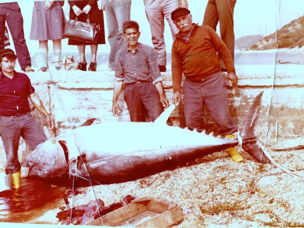 Το ψάρι που έγινε όνομα: το ορκίνι της Ιερισσού