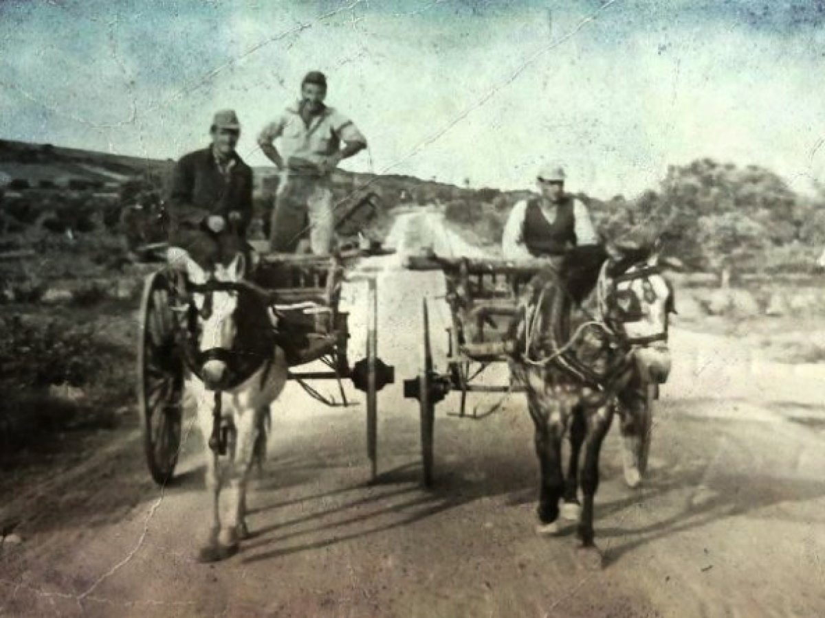 Το ξέρετε ότι η Λεωφόρος Σπάτων και η Λεωφόρος Αρτέμιδος είναι Εθνικές Οδοί; Πότε έγιναν και πώς αριθμήθηκαν