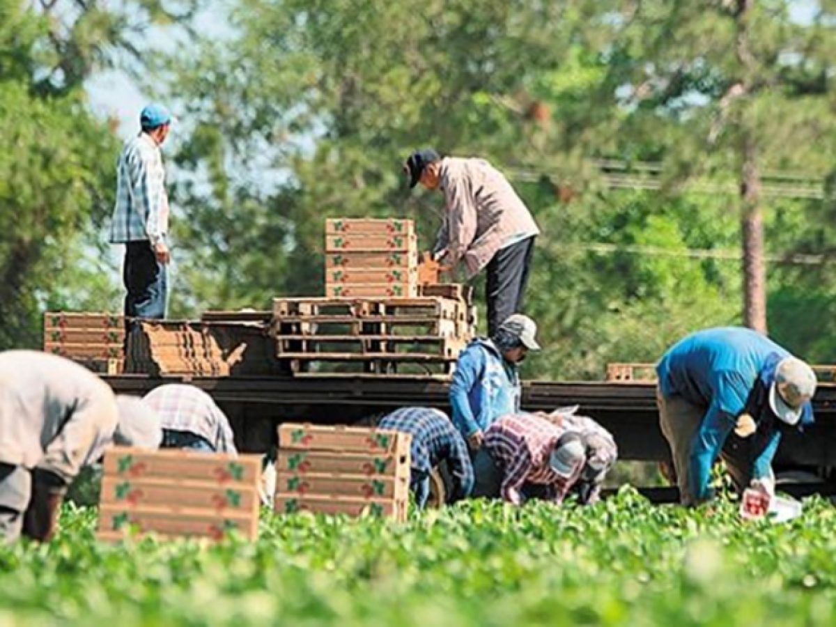 Τοπικό Εργαστήριο Primacenters για την  ένταξη μεταναστών στον πρωτογενή τομέα