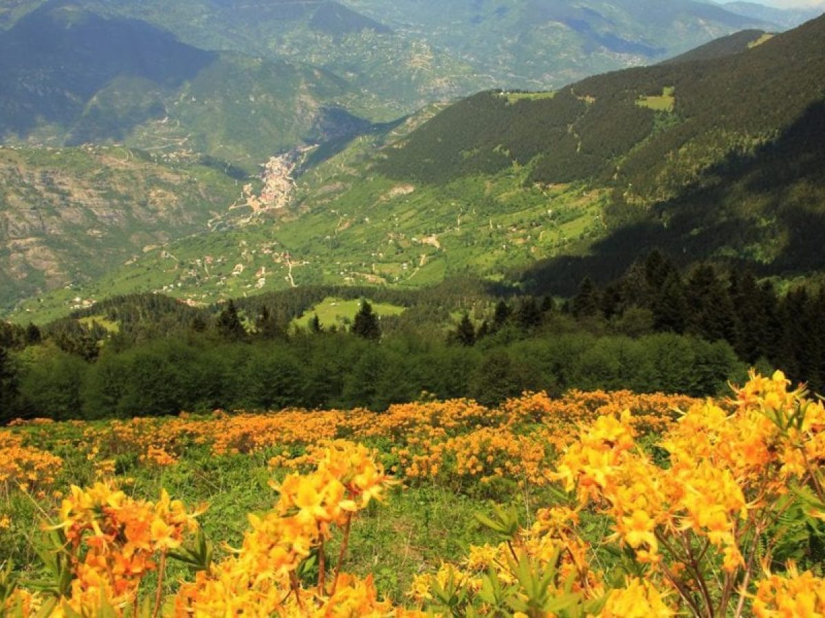 Του Τσουντσουναδίων το κέιφ’ – Μια πλάκα απ’ τη Ματσούκα με πρωταγωνιστές μερικούς Ανεφορίτες και μπόλικα κουκιά
