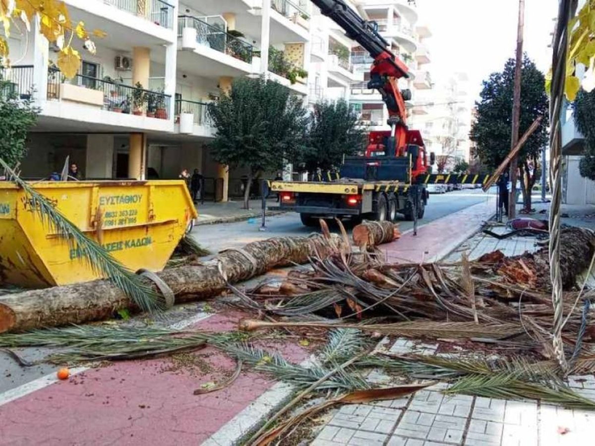 Τρόμος στο κέντρο θεσσαλικής πόλης: Φοίνικας κατέρρευσε και ξήλωσε κολώνα της ΔΕΗ!