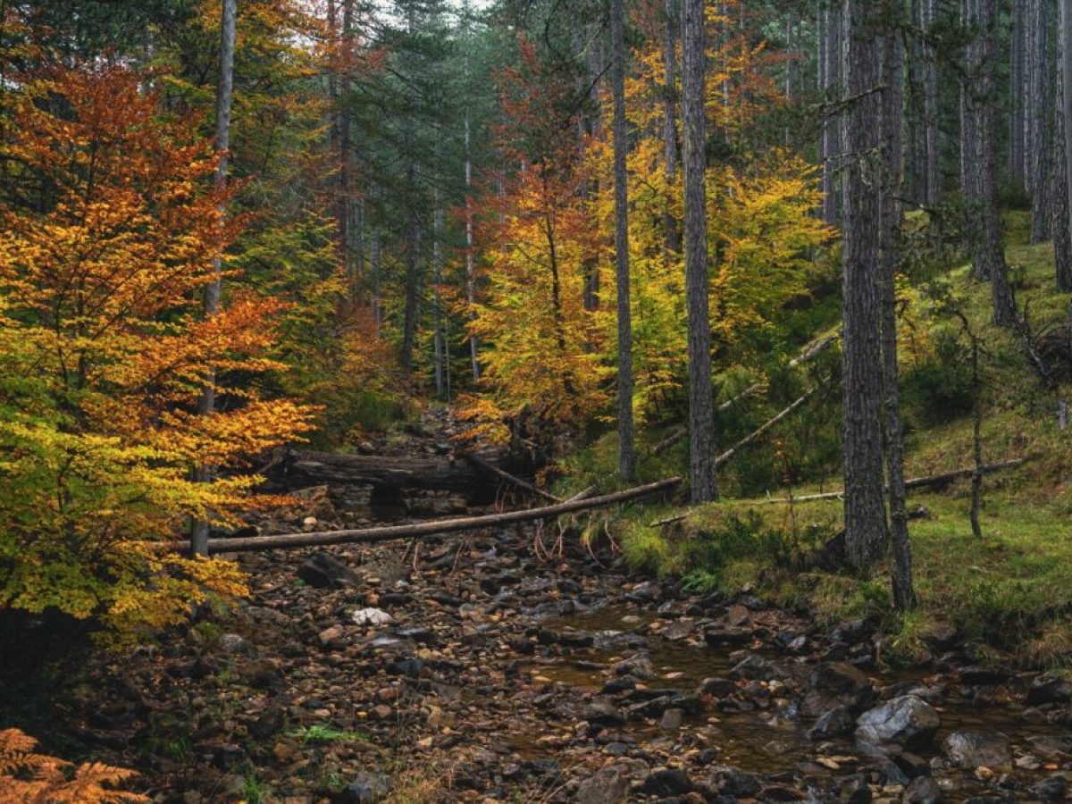 Βάλια Κάλντα: Eκεί όπου η Φύση ξυπνά τις αισθήσεις